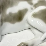 Статуэтка "Мраморный дог", ЛФЗ, СССР